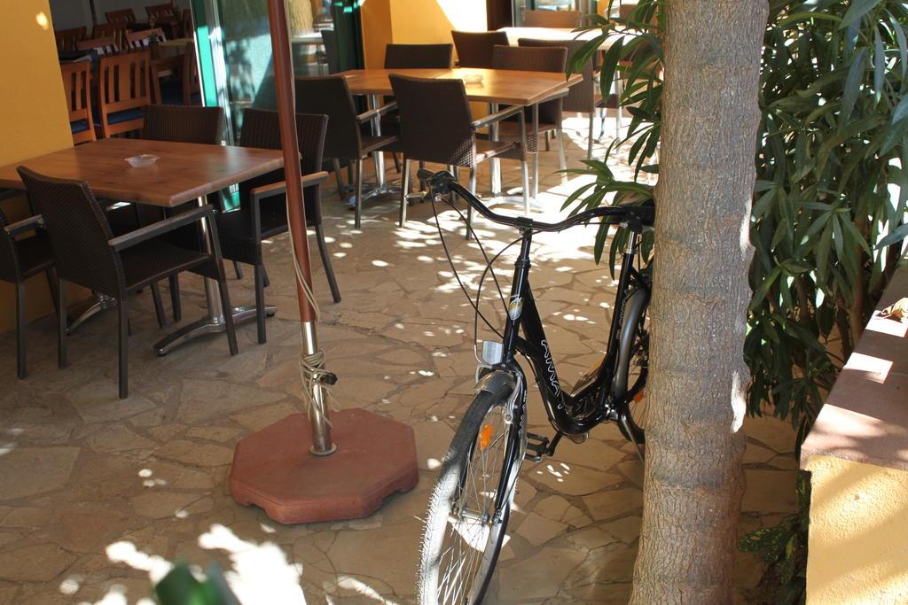 Hotel Picasso Torroella de Montgrí Dış mekan fotoğraf